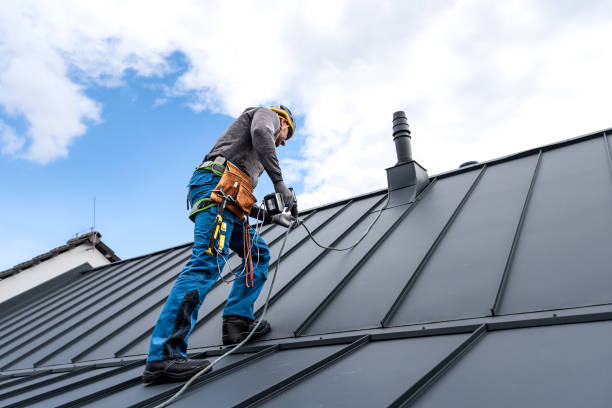 Best Roof Moss and Algae Removal  in Claypool, AZ